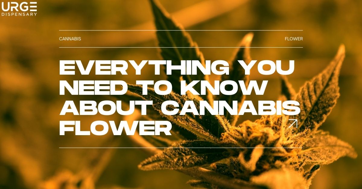 cannabis flower in NJ