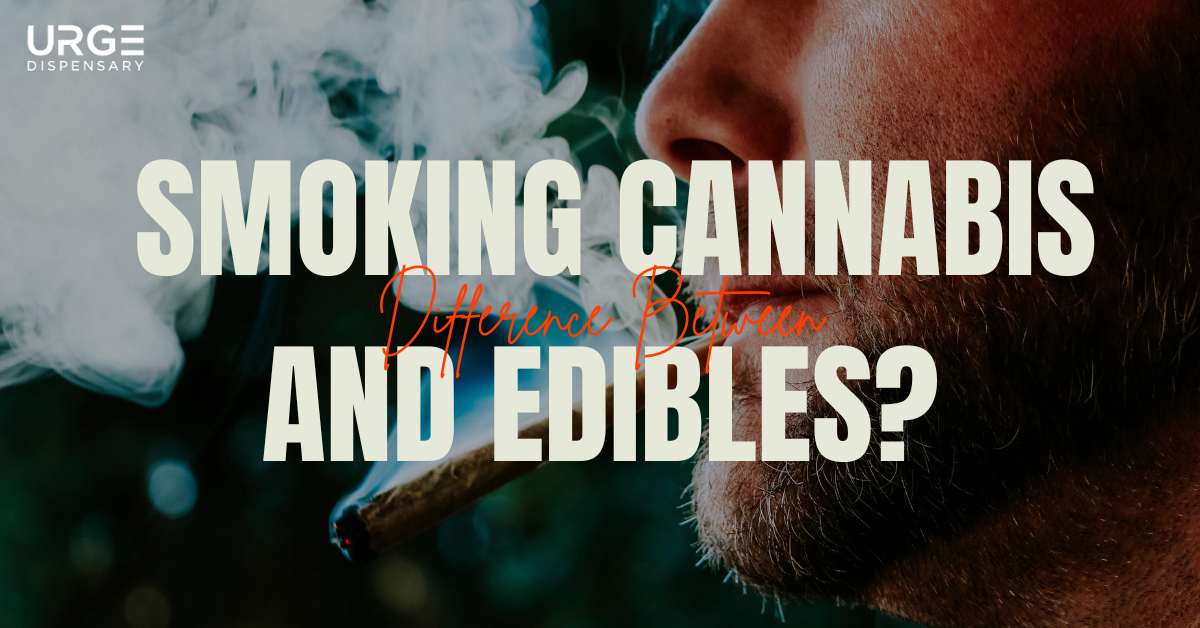 Difference Between Smoking Cannabis and Edibles